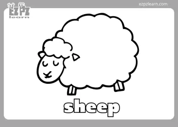 Sheep Flashcard Coloring Page for Kindergarten and Preschool Students 